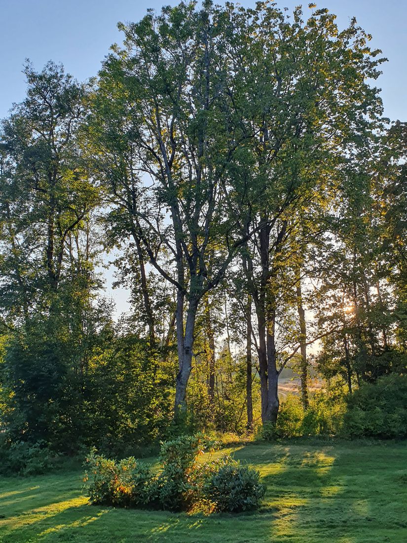Villa, Bjädesjö Gröpple Kvarn 1, Småland, Vetlanda