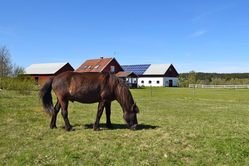 Gård/Skog, Baggekulla 101, 102, 103, 104, Västergötland, Ulricehamn
