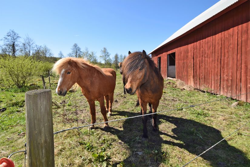 Gård/Skog, Baggekulla 101, 102, 103, 104, Västergötland, Ulricehamn