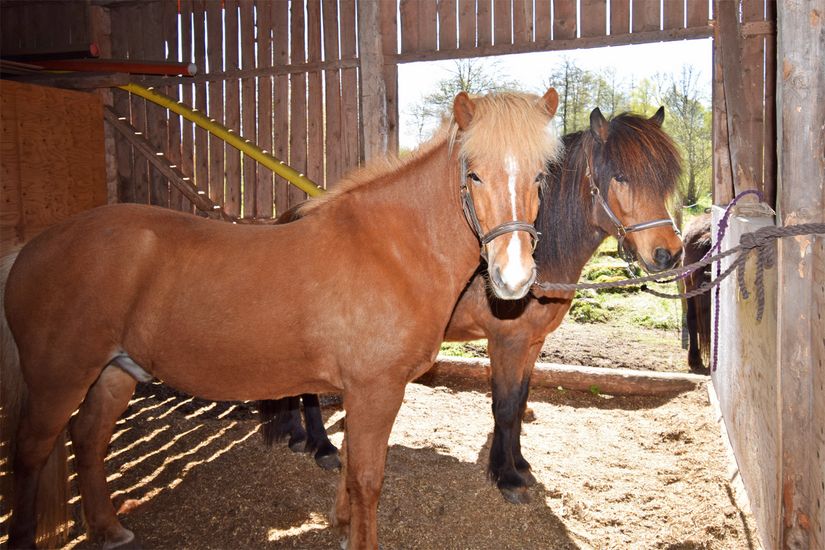 Gård/Skog, Baggekulla 101, 102, 103, 104, Västergötland, Ulricehamn