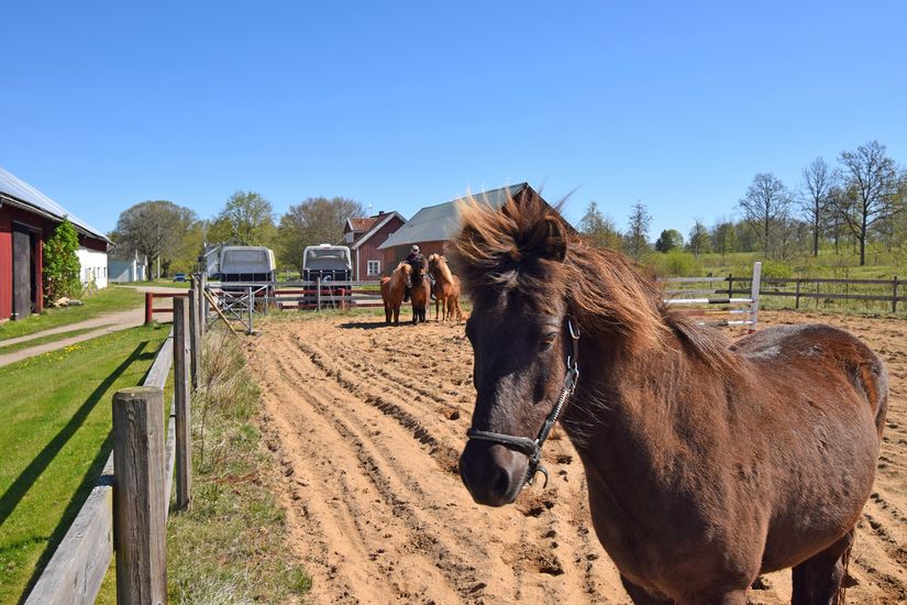 Gård/Skog, Baggekulla 101, 102, 103, 104, Västergötland, Ulricehamn