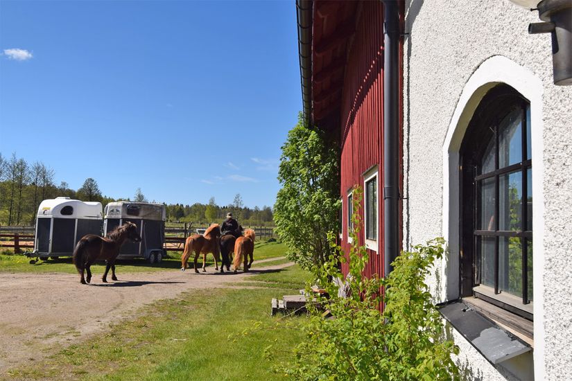 Gård/Skog, Baggekulla 101, 102, 103, 104, Västergötland, Ulricehamn