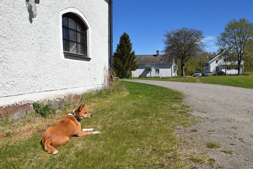 Gård/Skog, Baggekulla 101, 102, 103, 104, Västergötland, Ulricehamn