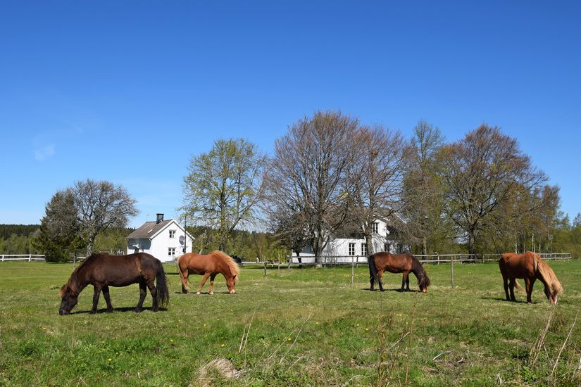 Gård/Skog, Baggekulla 101, 102, 103, 104, Västergötland, Ulricehamn