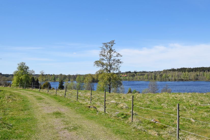 Gård/Skog, Baggekulla 101, 102, 103, 104, Västergötland, Ulricehamn