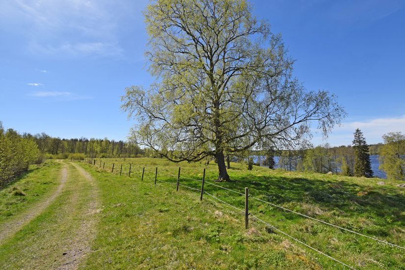 Gård/Skog, Baggekulla 101, 102, 103, 104, Västergötland, Ulricehamn