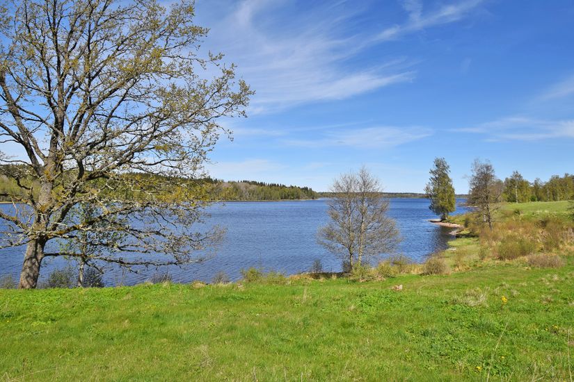 Gård/Skog, Baggekulla 101, 102, 103, 104, Västergötland, Ulricehamn