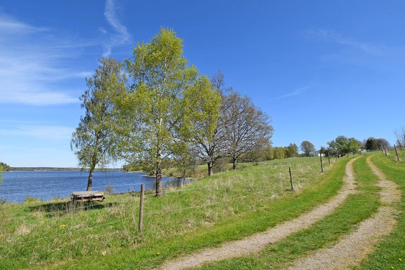 Gård/Skog, Baggekulla 101, 102, 103, 104, Västergötland, Ulricehamn
