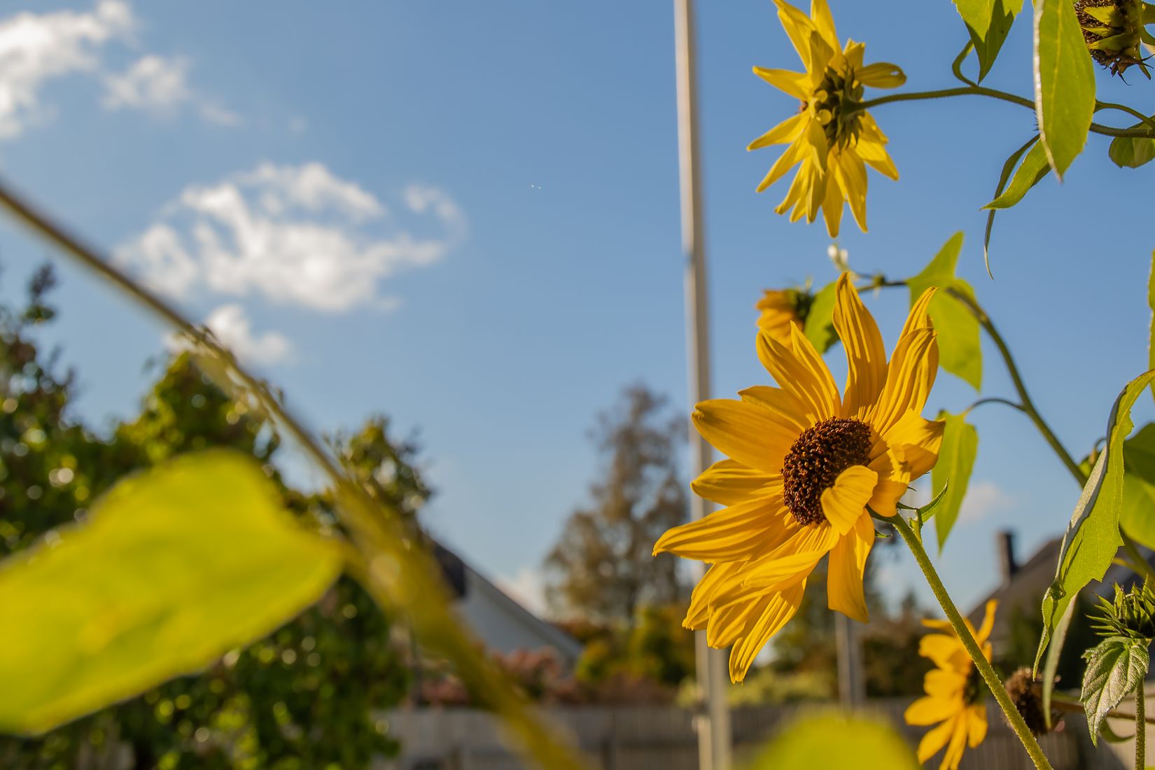 Villa, Västanåvägen 14, Karlstad