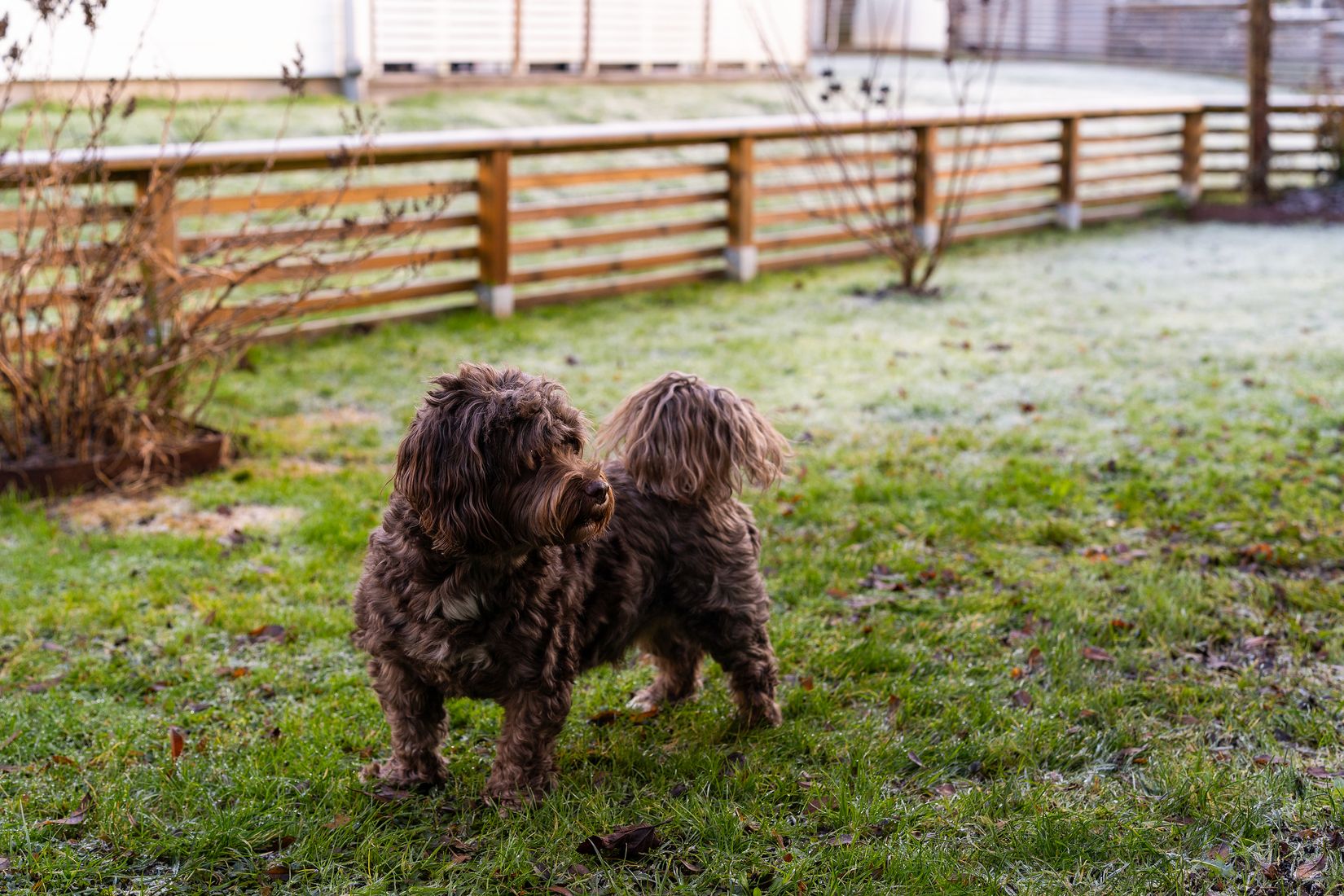 Bostadsrätt, Radhus, Rådjursvägen 6, Lödöse, Lilla Edet