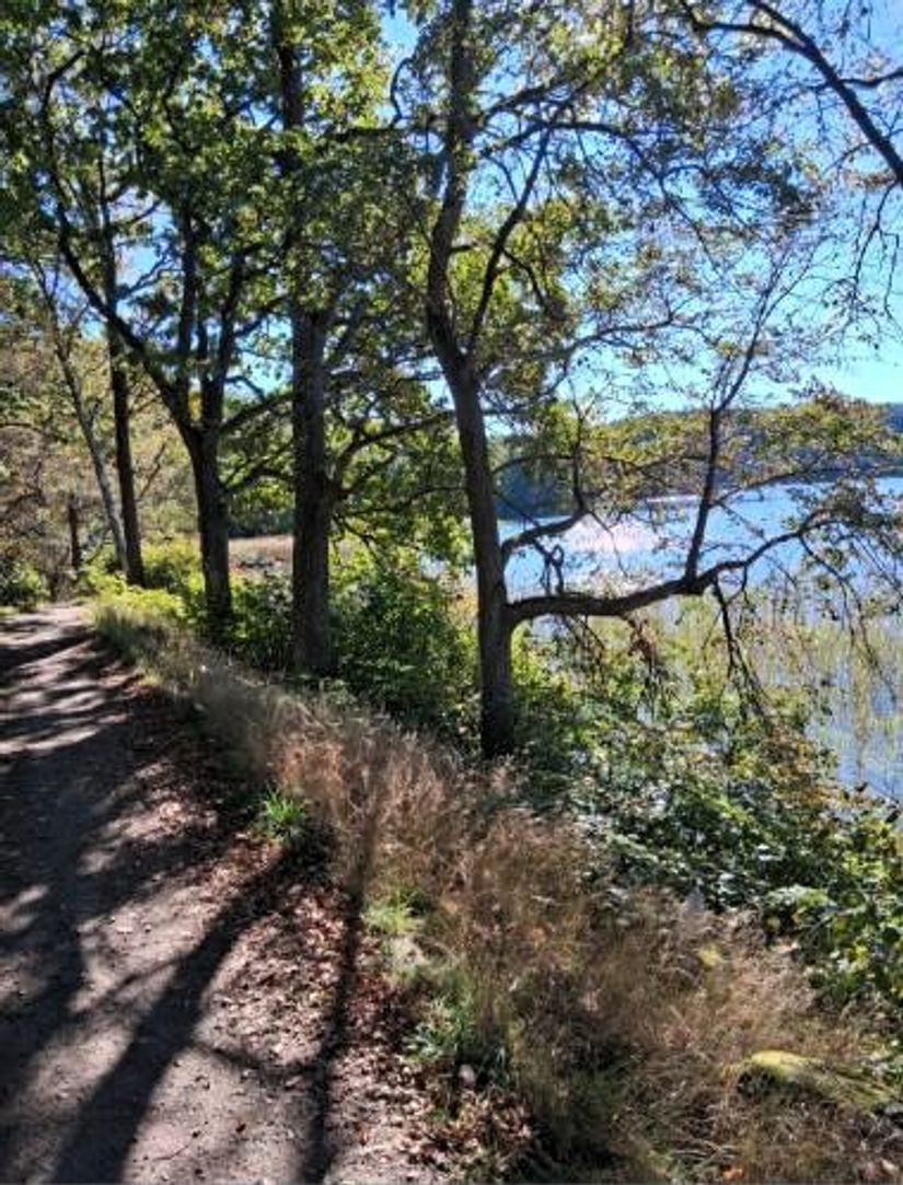 Bostadsrätt, Lindekullegatan 31e, Ingared, Alingsås