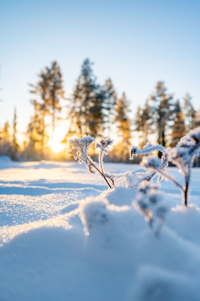 Villa, Yrttivaara 73, Yrttivaara, Gällivare