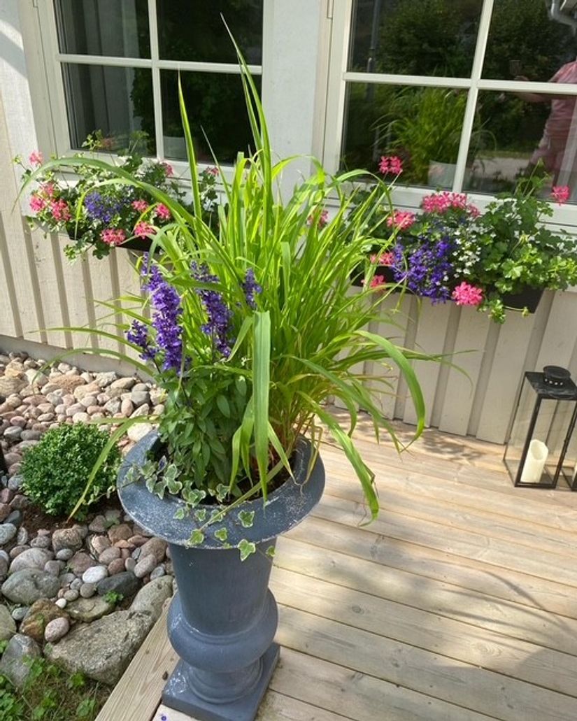 Villa, Radhus, Lupinvägen 22, Rindö, Vaxholm