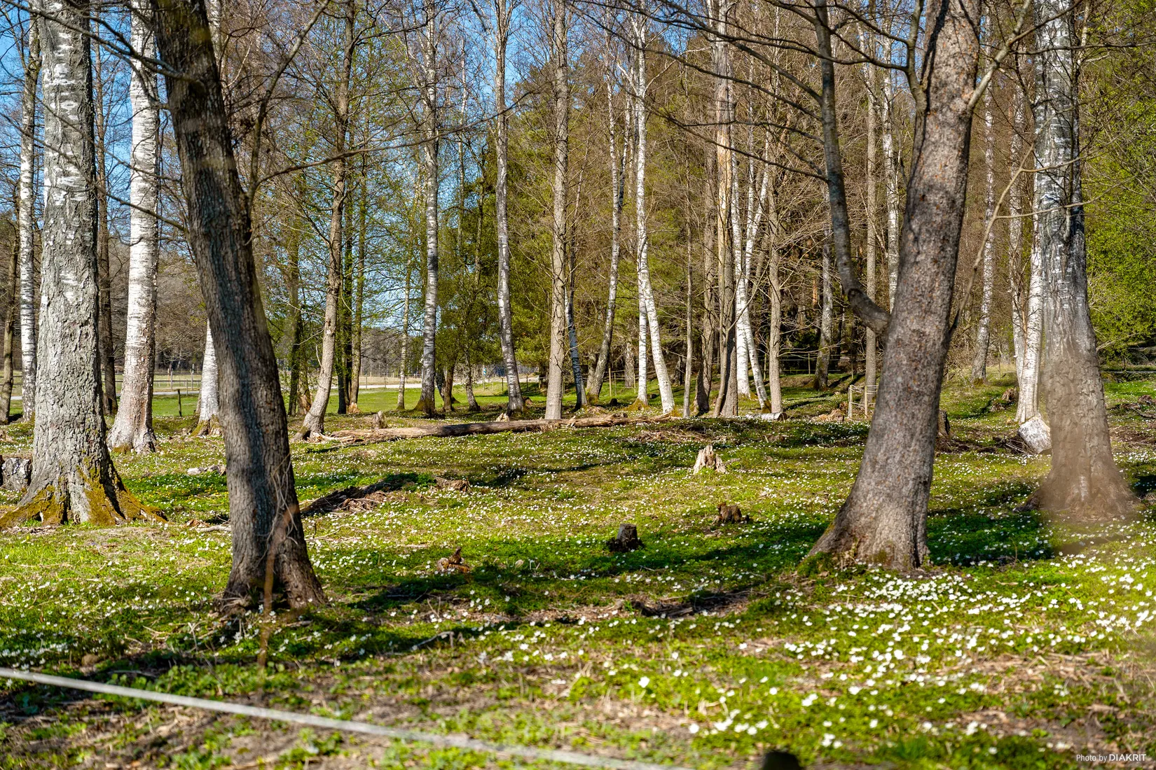 Fritidshus, Ärtvägen 51, Aspvik Koloniområde, Upplands-Bro
