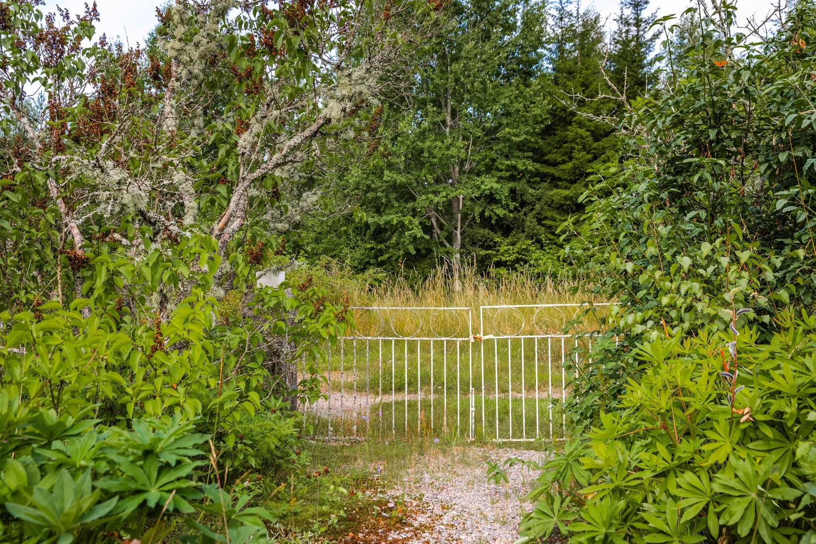 Fritidshus, Lindsberg 128, Vimmerby