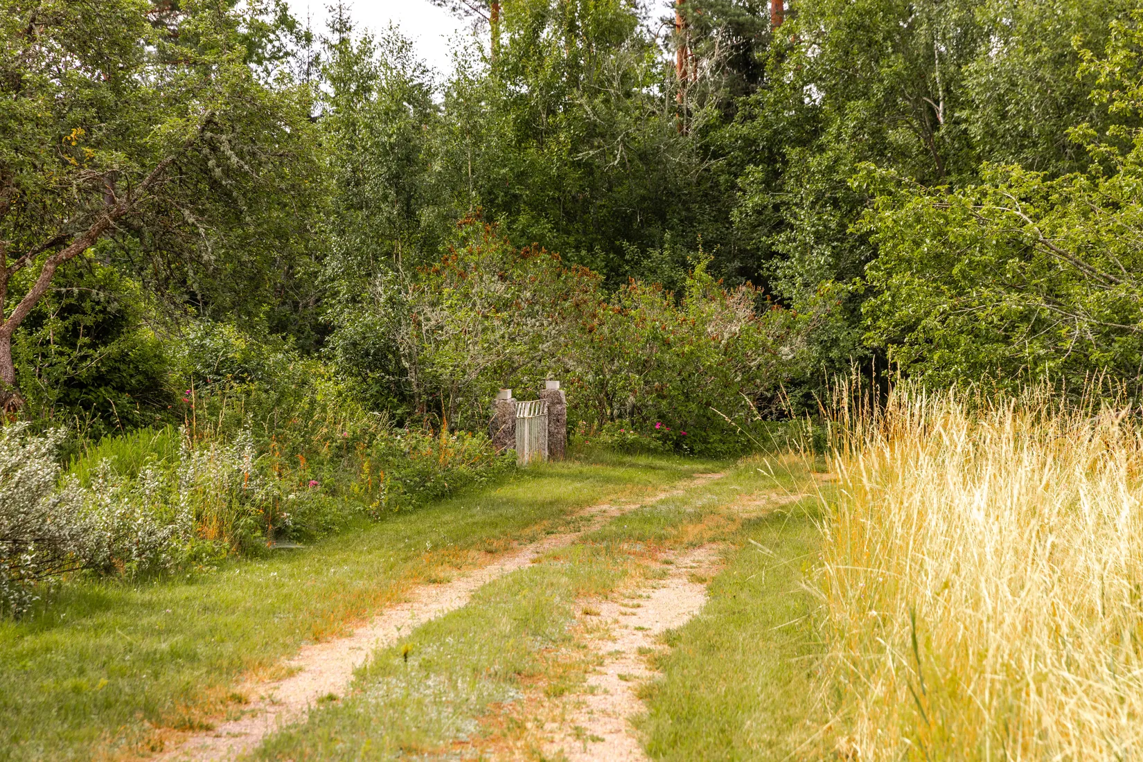 Fritidshus, Lindsberg 128, Vimmerby