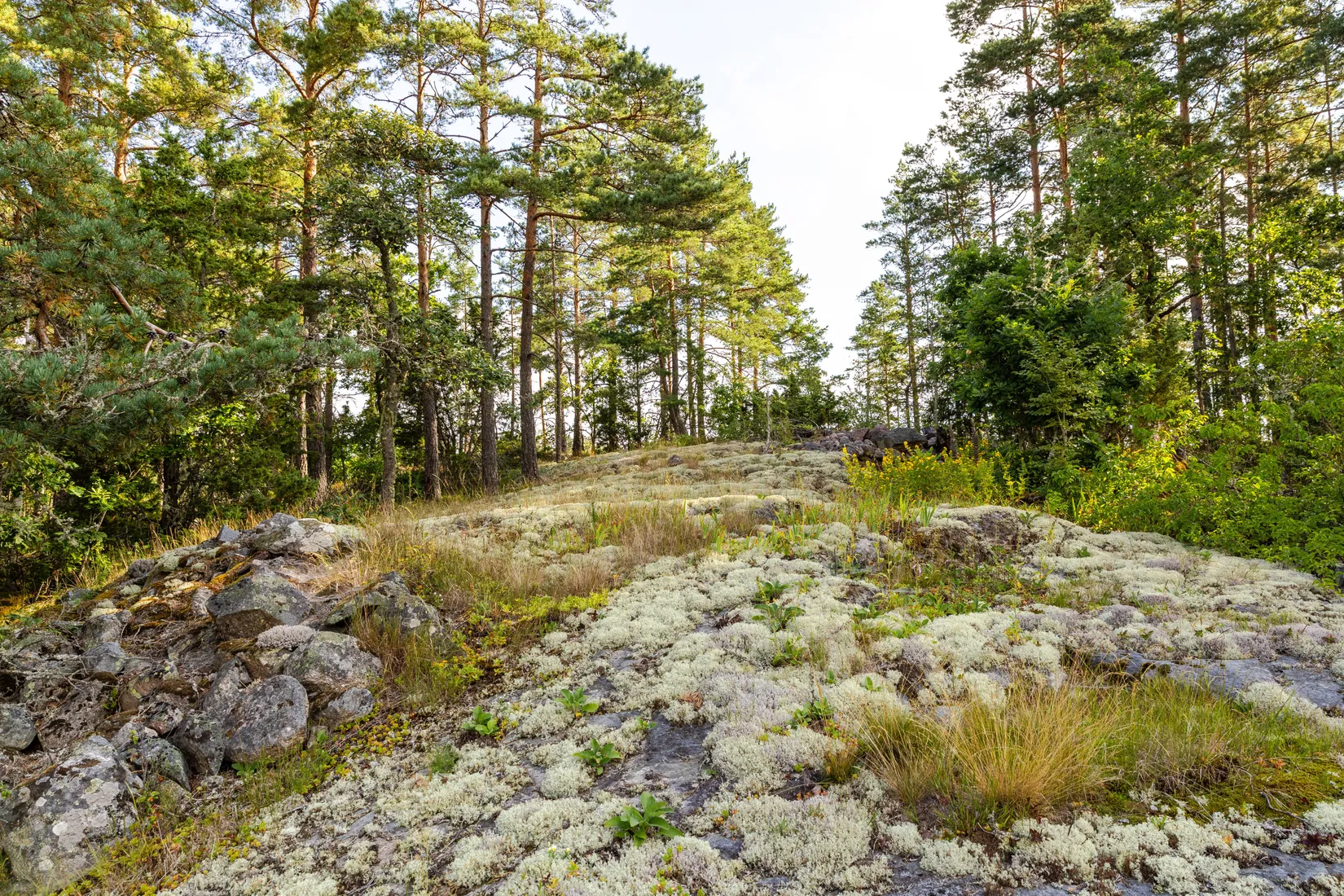 Fritidshus, Lindsberg 128, Vimmerby