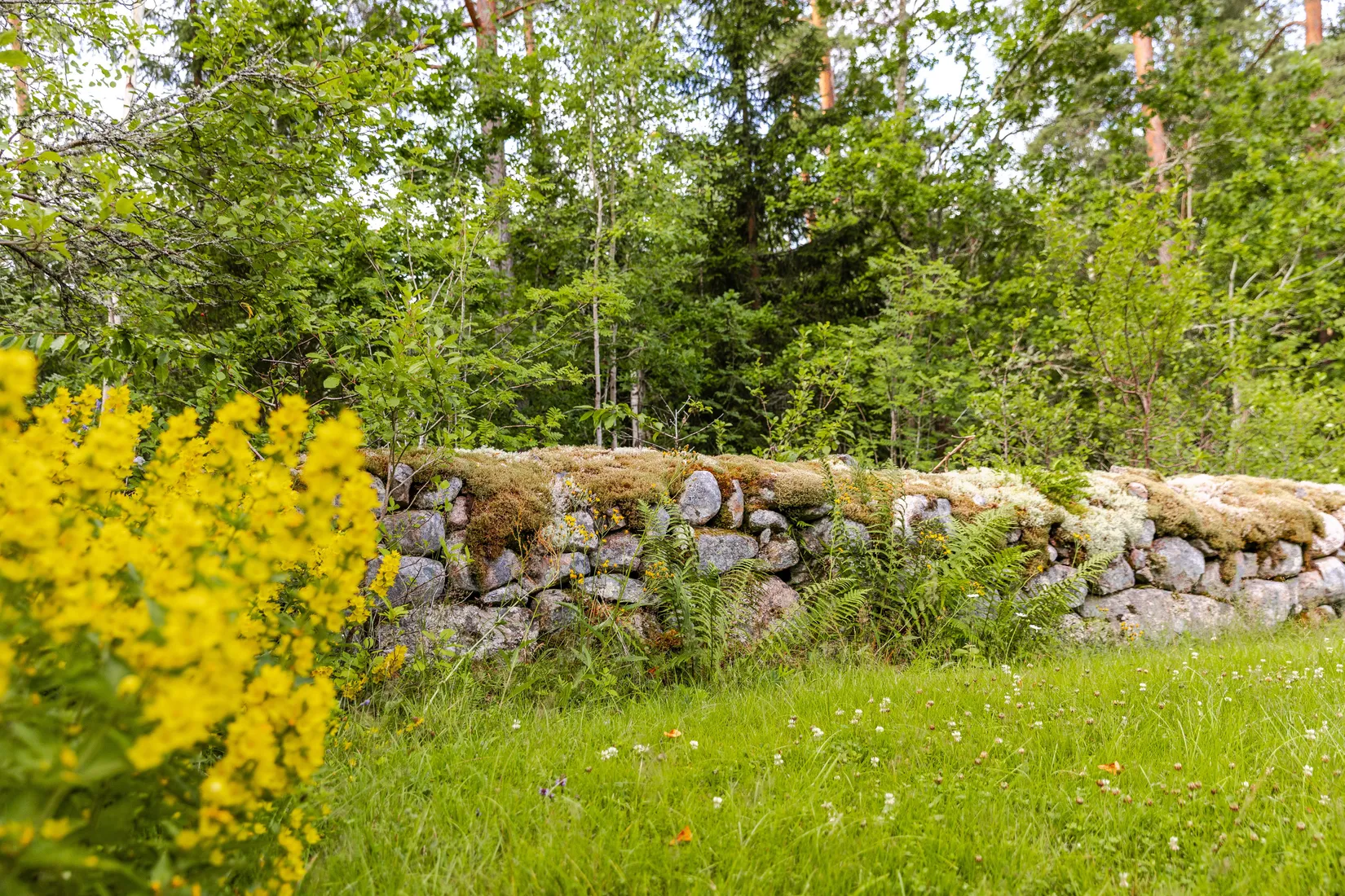 Fritidshus, Lindsberg 128, Vimmerby