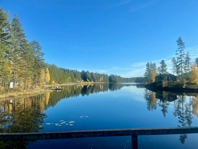 Villa, Skallberget 10, Nyhammar, Ludvika