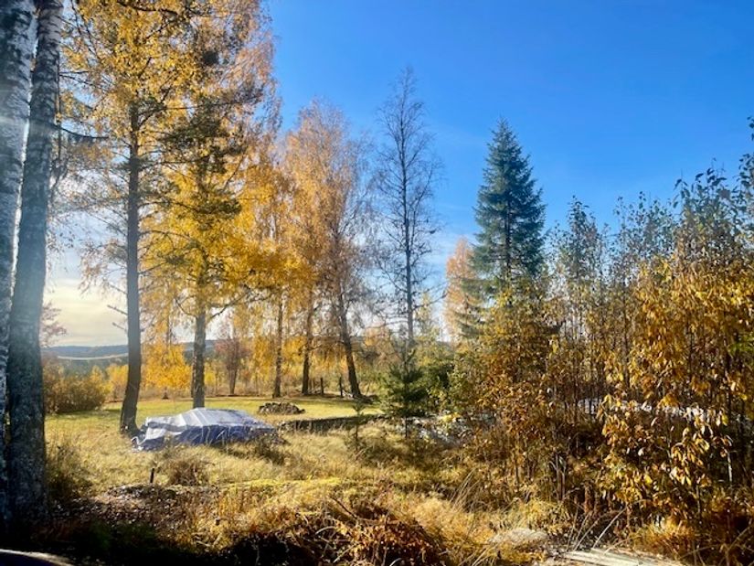 Villa, Skallberget 10, Nyhammar, Ludvika