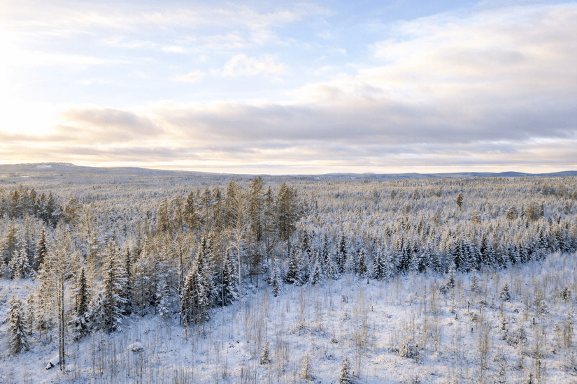 Villa, Skallberget 10, Nyhammar, Ludvika