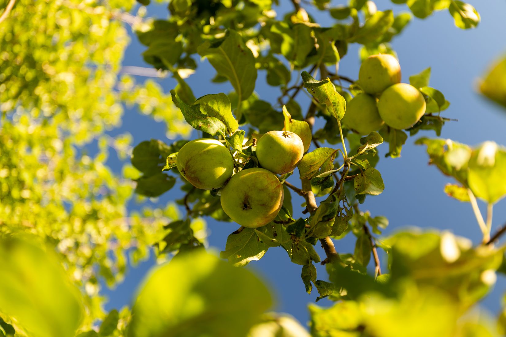 Villa, Påskeldsvägen 9, Karlstad