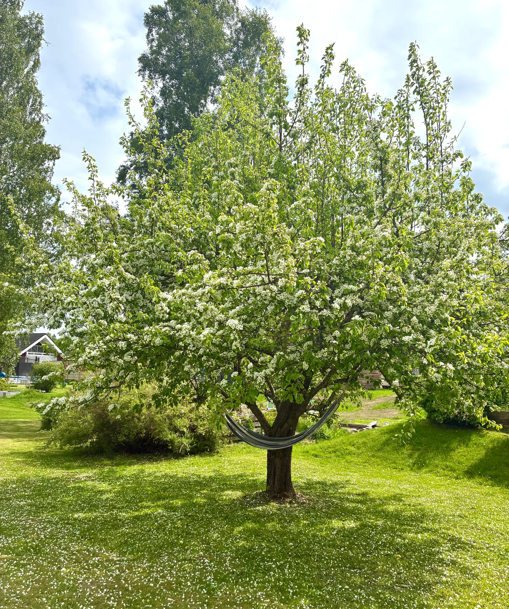 Villa, Påskeldsvägen 9, Karlstad