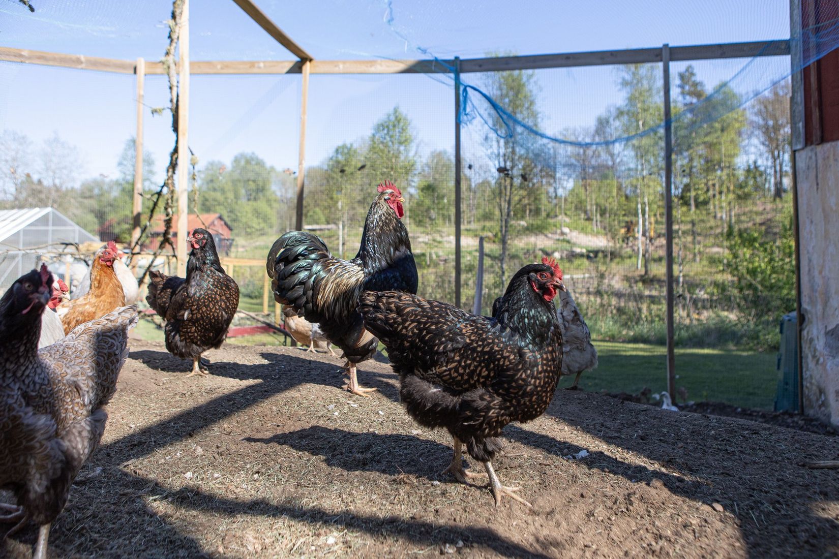 Villa, Gällareds-Stenstorp 102, Ullared, Falkenberg