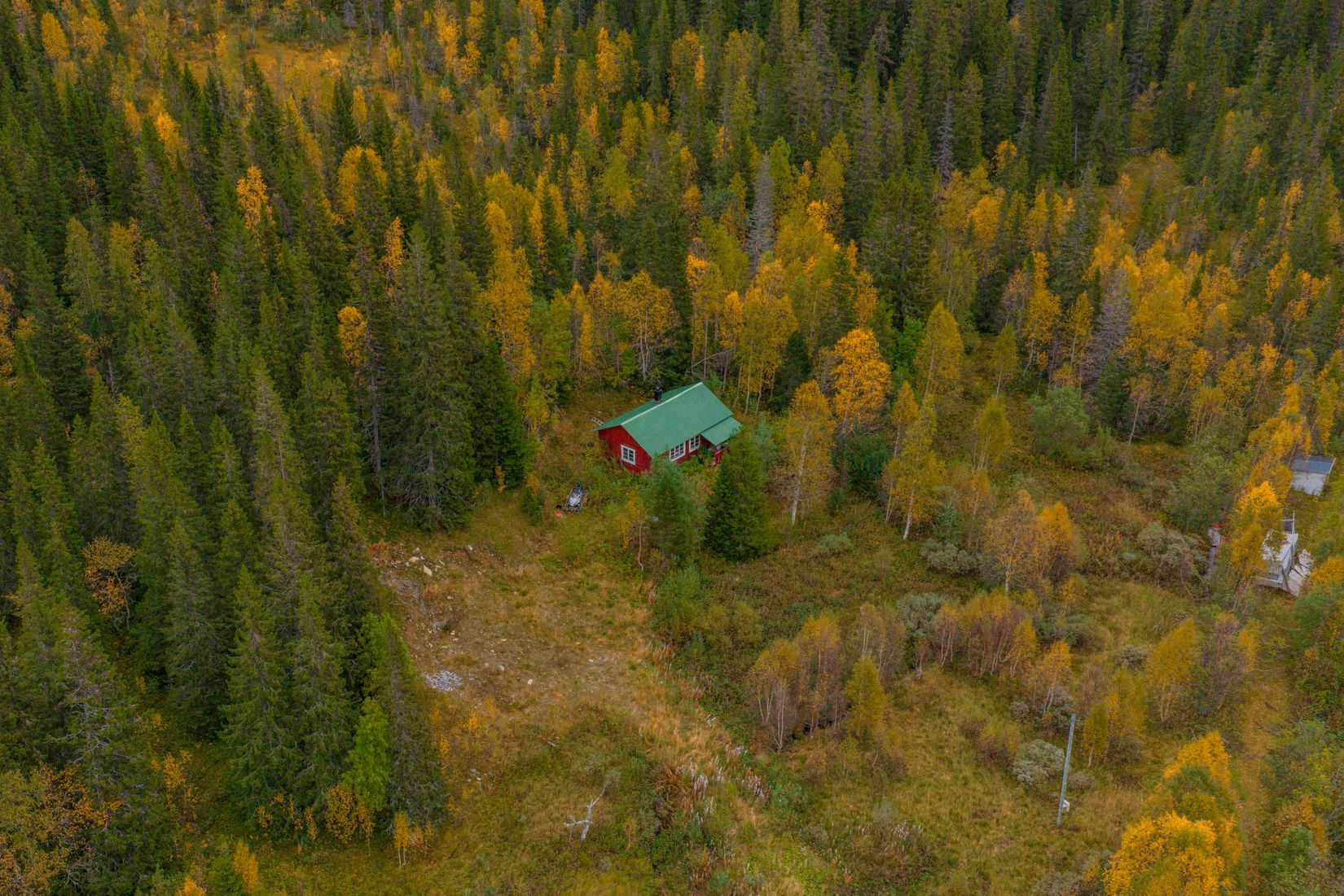 Gård/Skog, Solberg 4, Borgafjäll, Dorotea