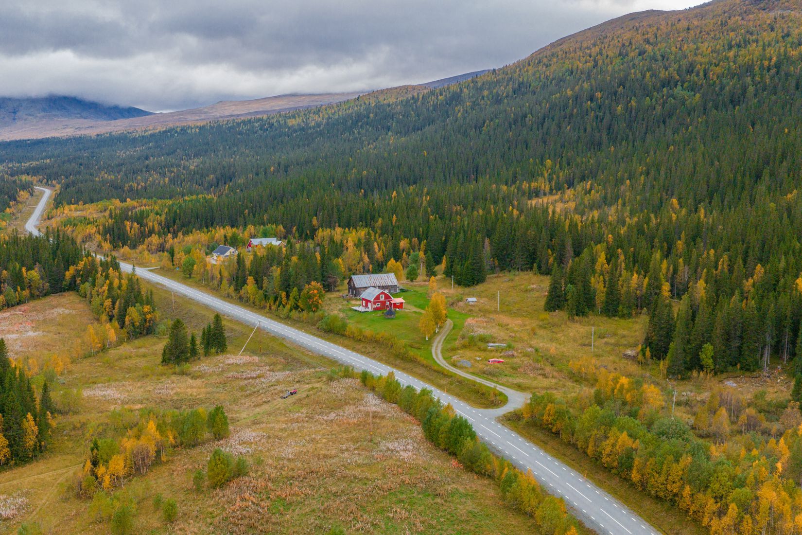 Gård/Skog, Solberg 4, Borgafjäll, Dorotea