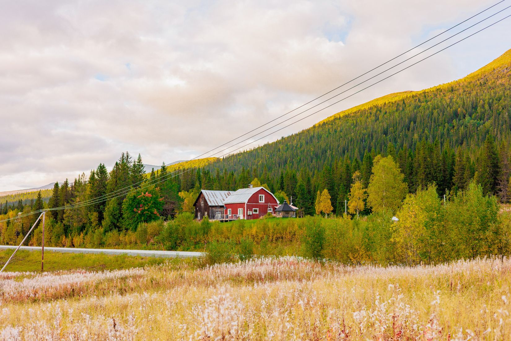 Gård/Skog, Solberg 4, Borgafjäll, Dorotea