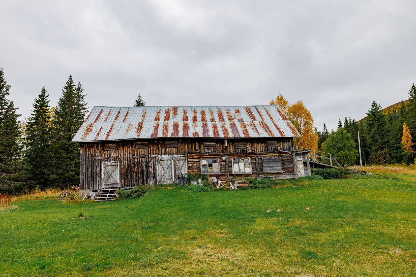 Gård/Skog, Solberg 4, Borgafjäll, Dorotea