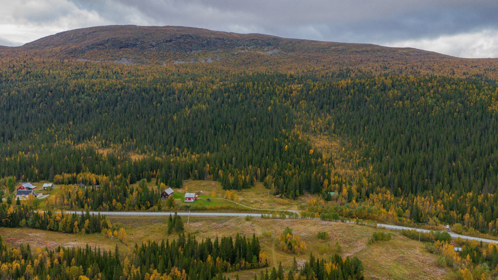 Gård/Skog, Solberg 4, Borgafjäll, Dorotea