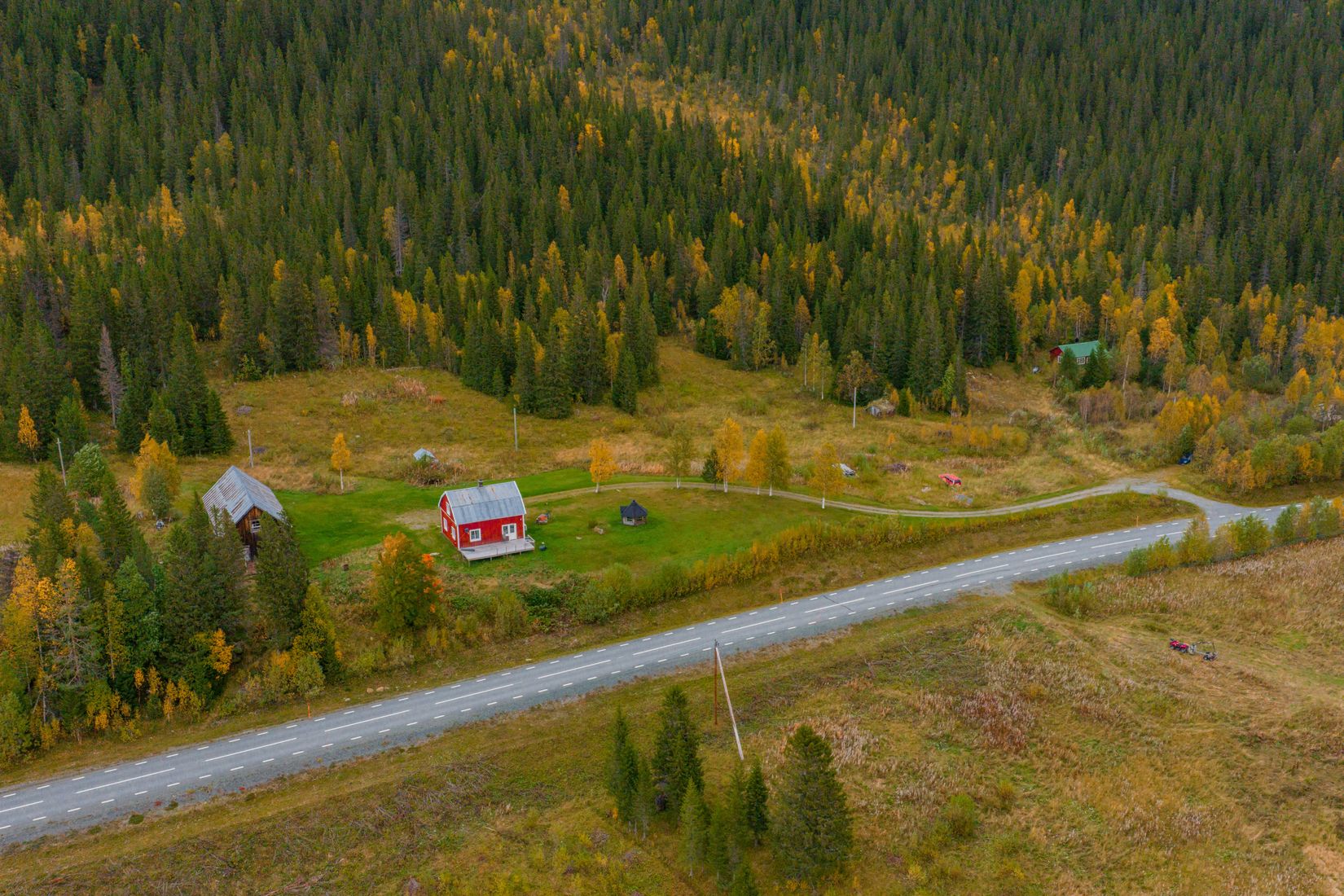 Gård/Skog, Solberg 4, Borgafjäll, Dorotea