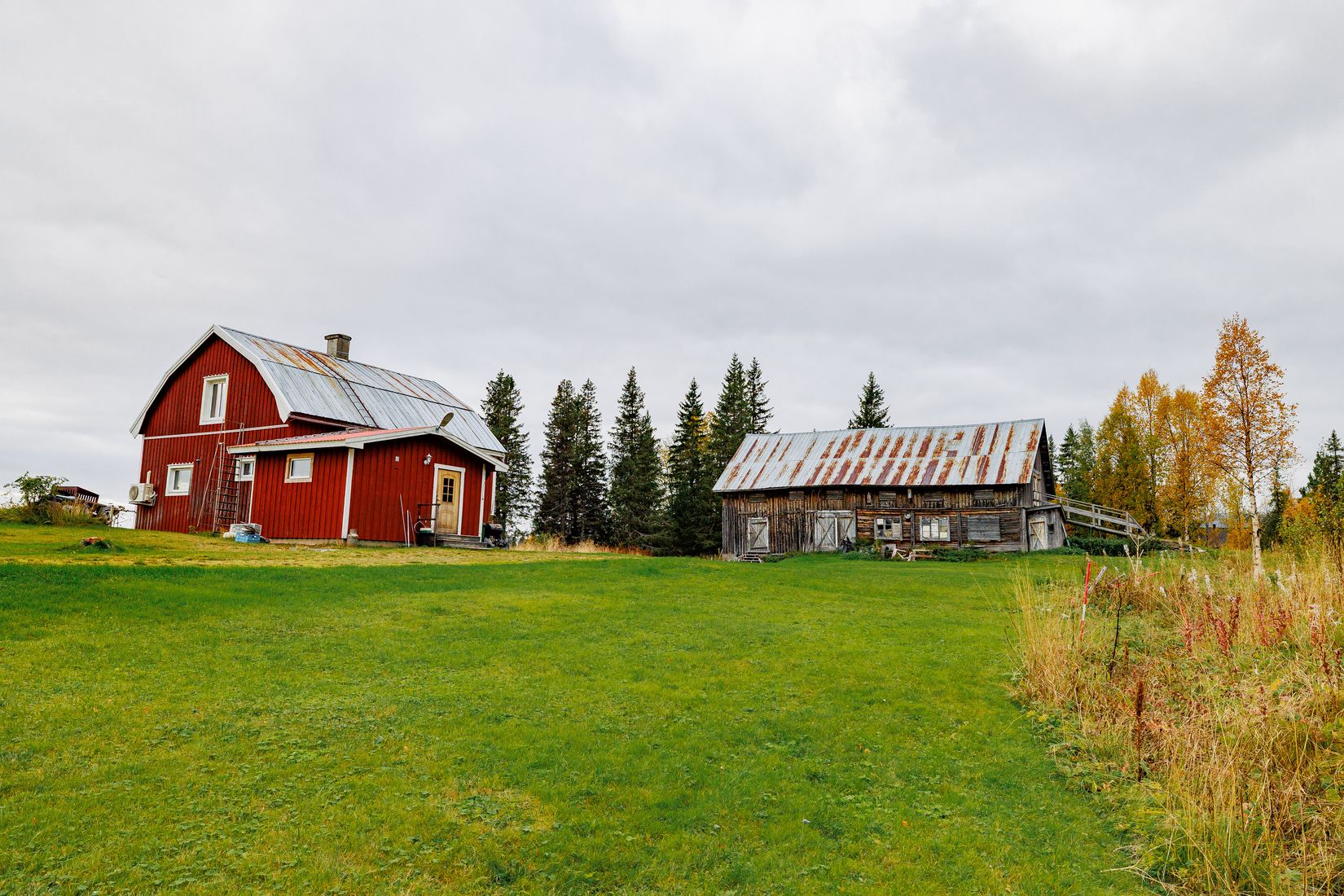 Gård/Skog, Solberg 4, Borgafjäll, Dorotea
