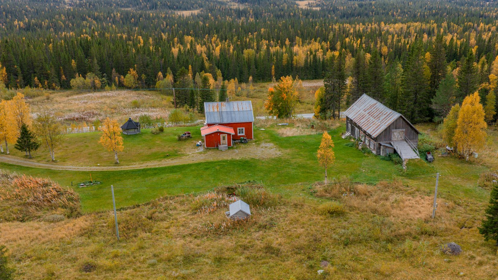 Gård/Skog, Solberg 4, Borgafjäll, Dorotea