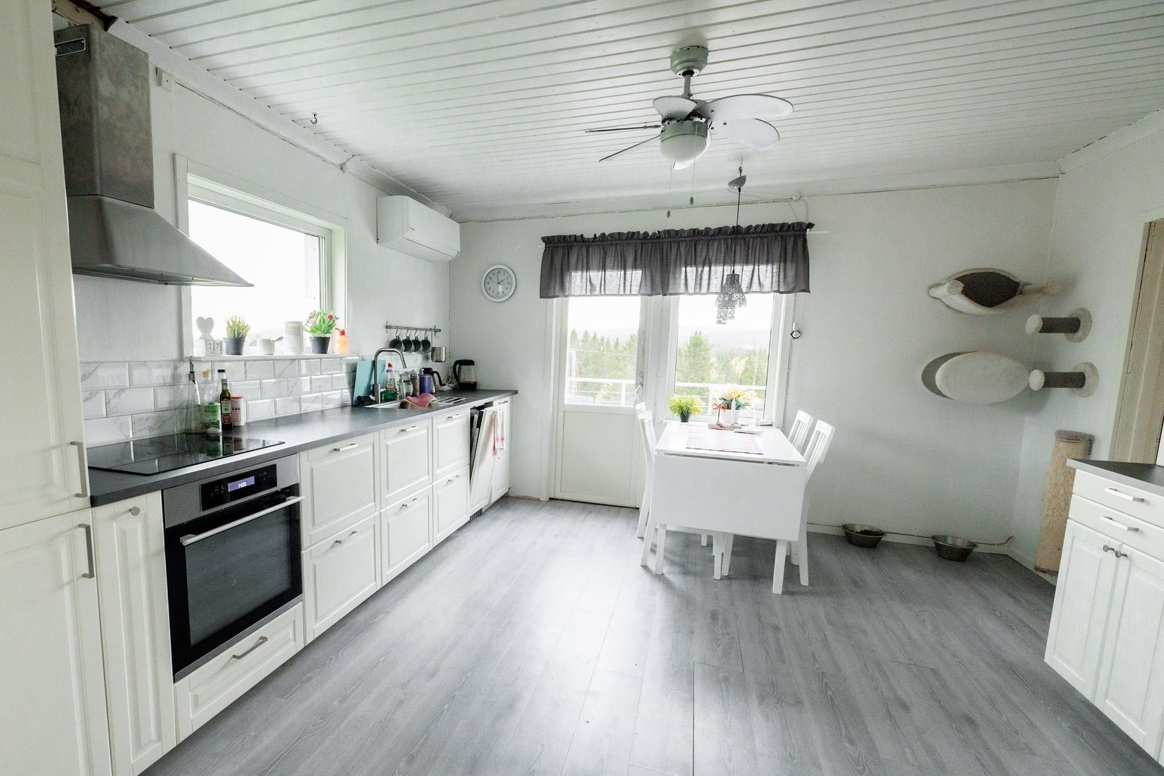 Gård/Skog, Solberg 4, Borgafjäll, Dorotea