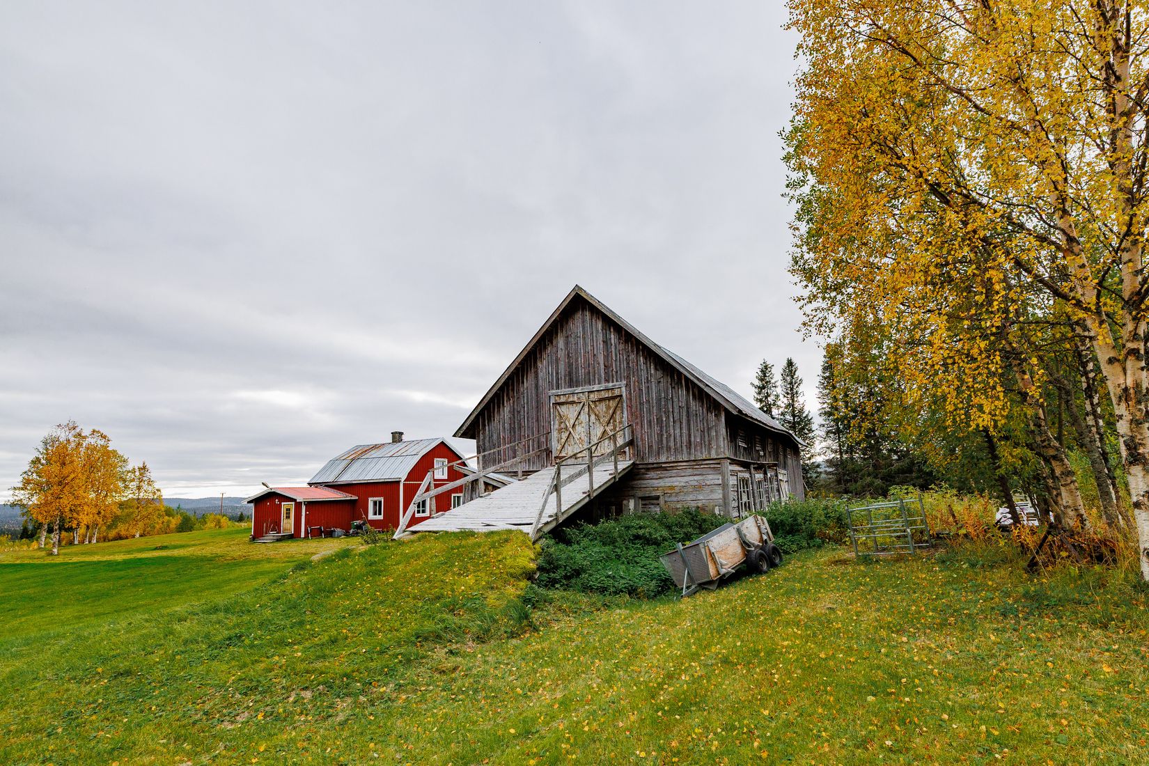 Gård/Skog, Solberg 4, Borgafjäll, Dorotea