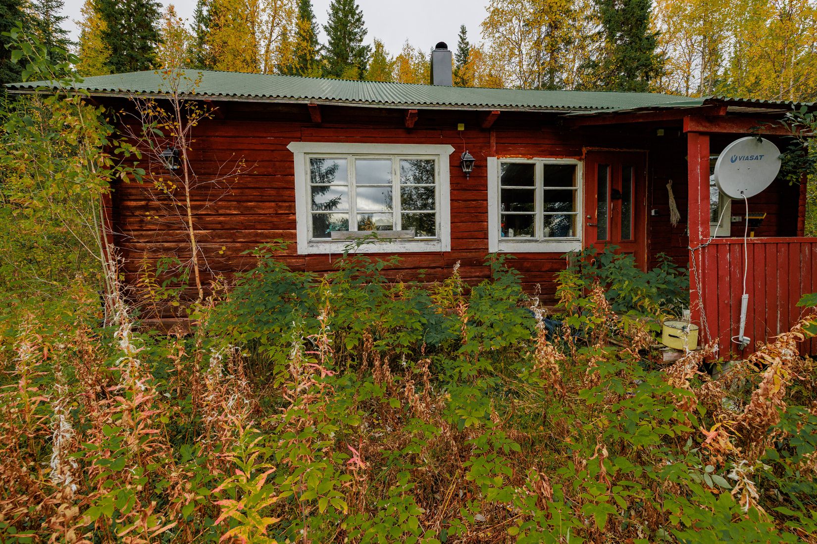 Gård/Skog, Solberg 4, Borgafjäll, Dorotea