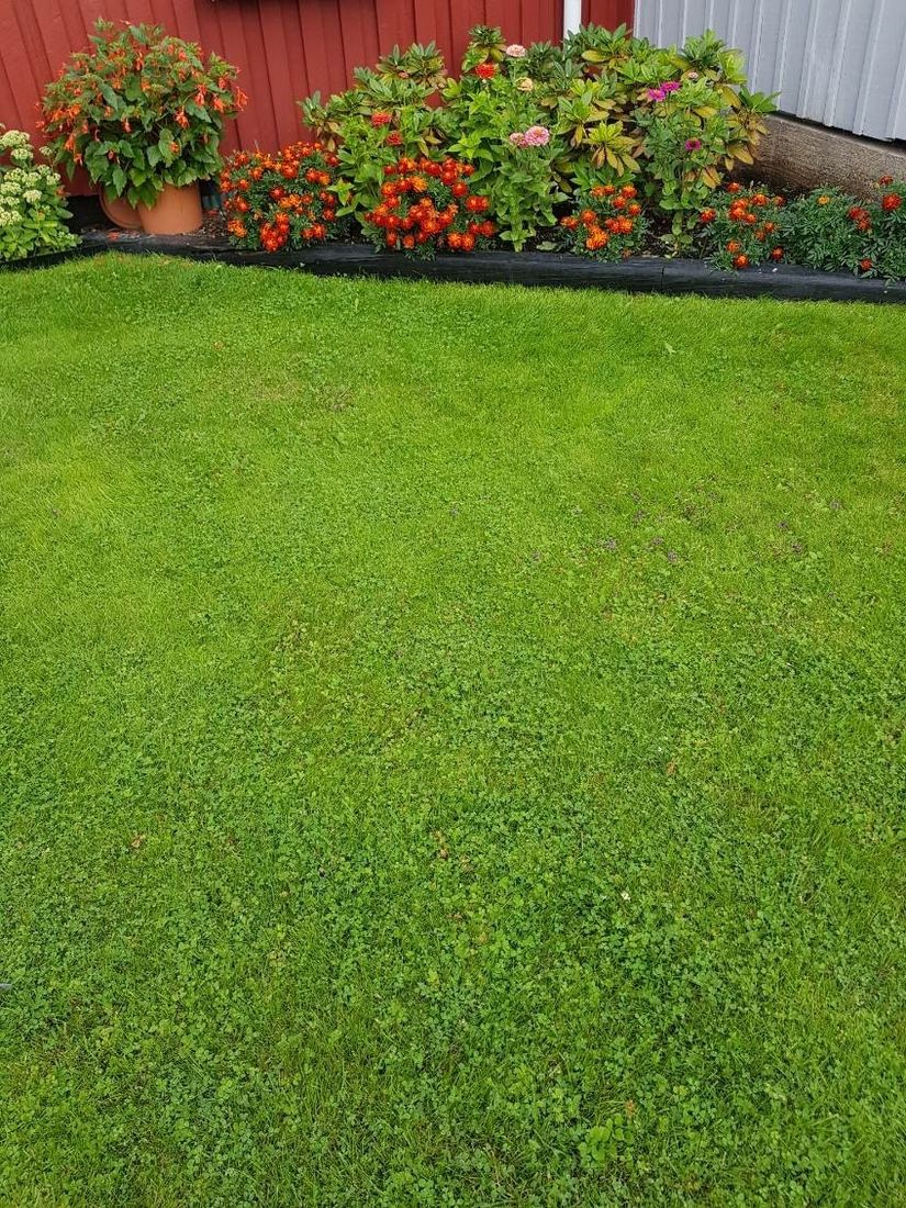 Radhus, Trastvägen 8, Kungsör