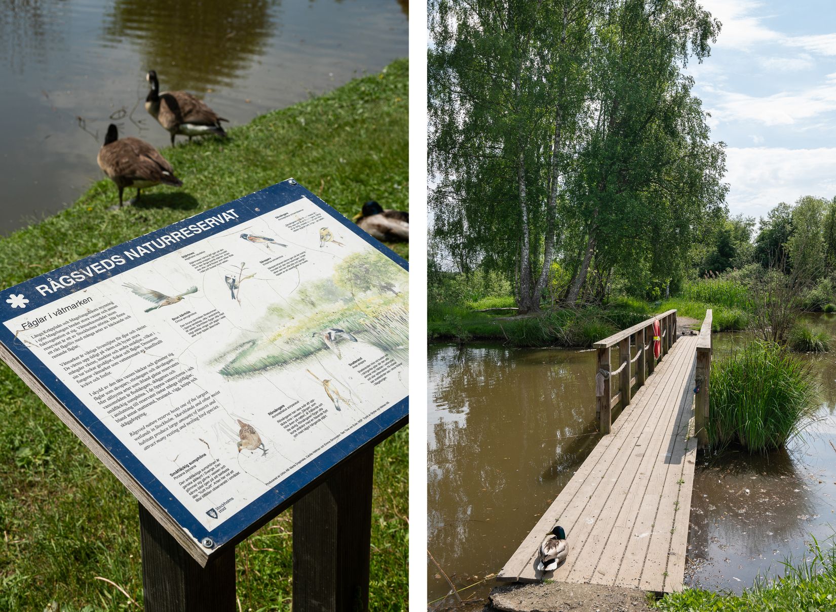 Bostadsrätt, Harpsundsvägen 84B, våning 4 av 4!, Högdalen, Stockholm