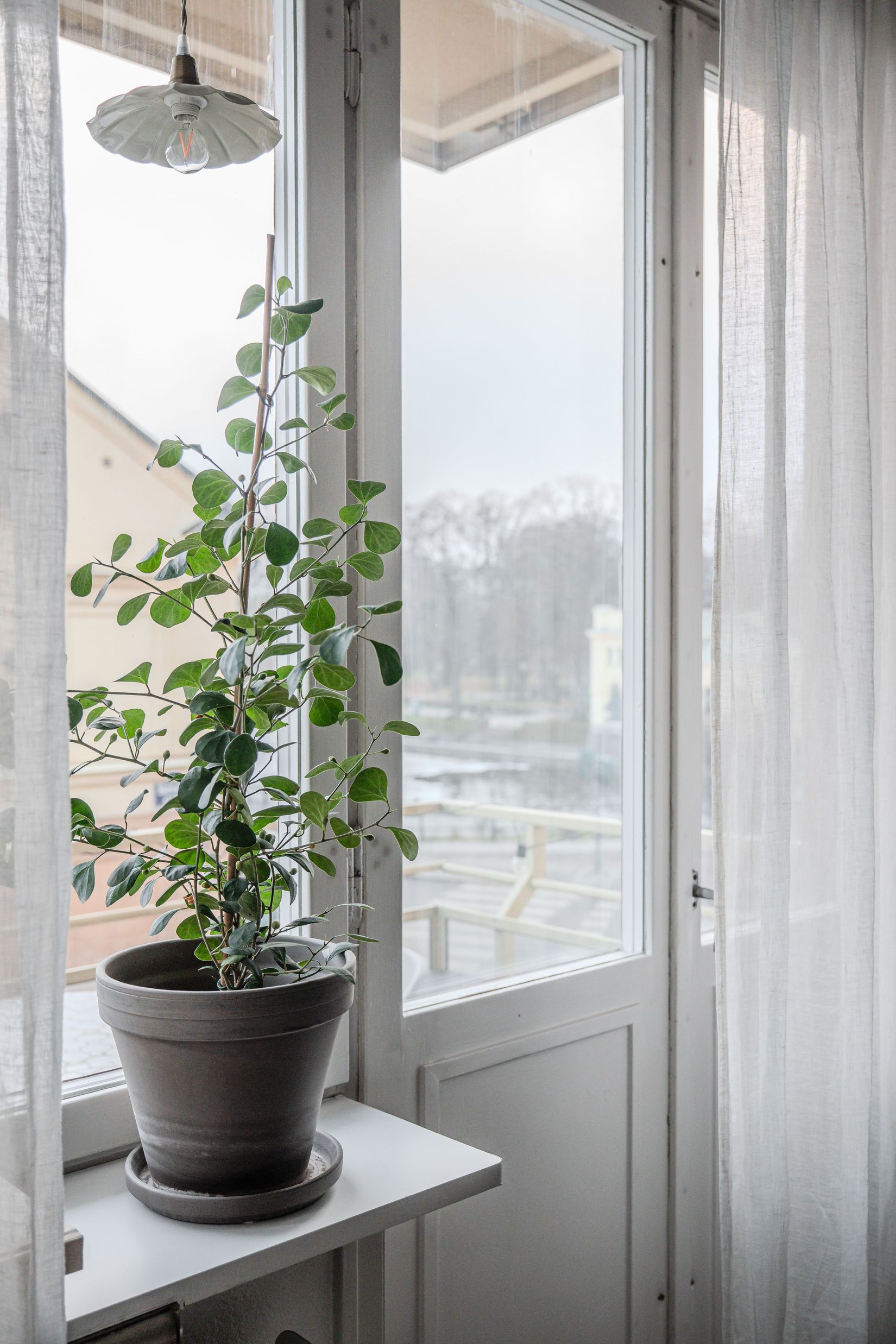 Bostadsrätt, Bäverns gränd 2, Centrum Uppsala, Uppsala