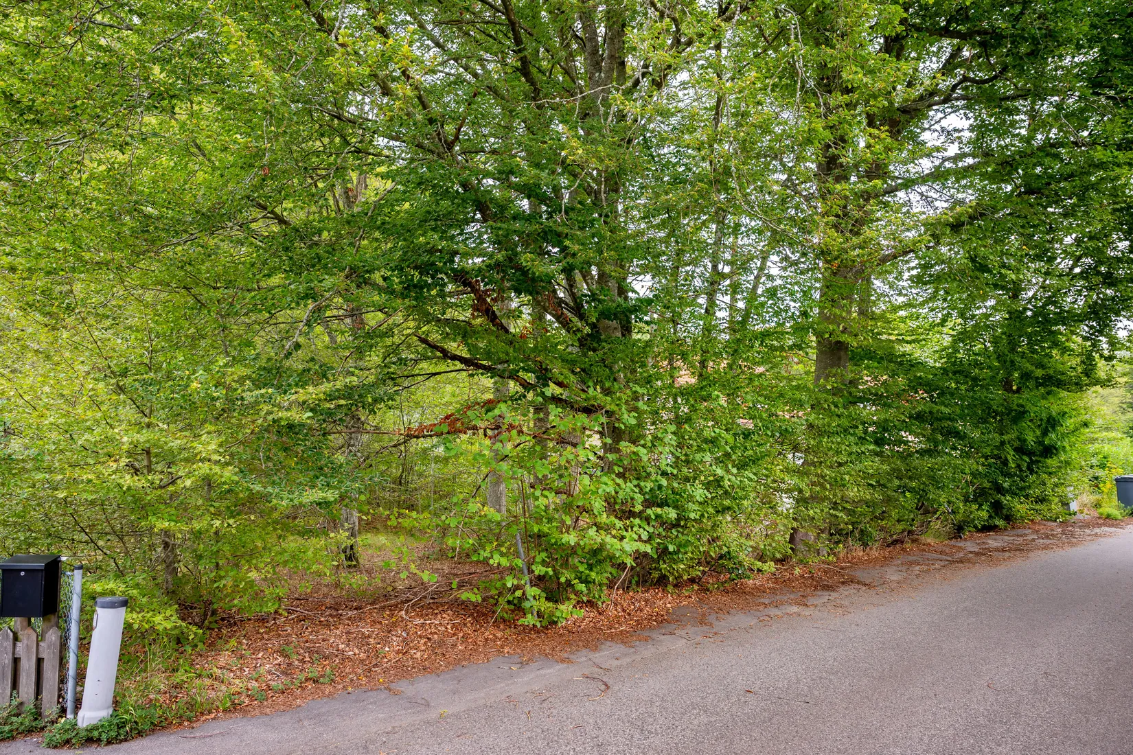 Tomt, Träskovägen 4, Sjörröd, Hässleholm