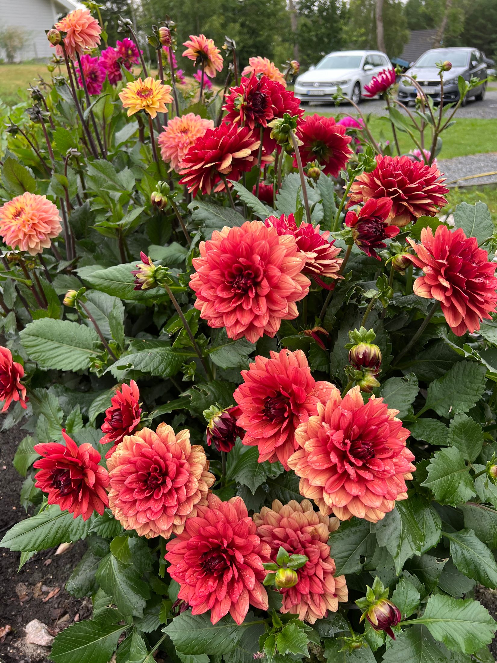 Villa, Litslena-Lundby 27, Litslena, Enköping