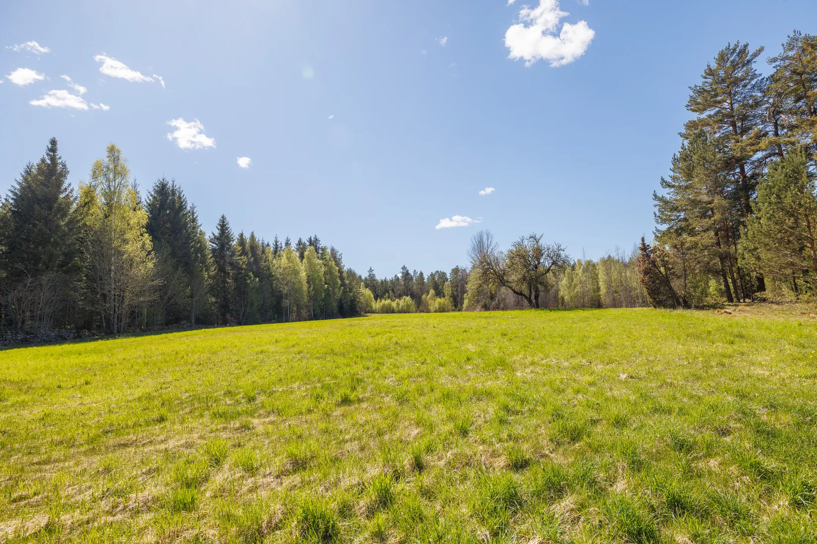 Gård/Skog, Bäcken Bohult 871, Hallsberg