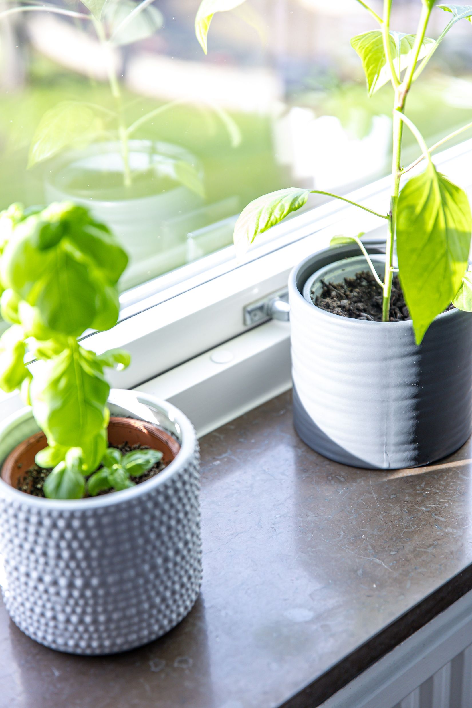 Bostadsrätt, Österängsgatan 32, Östergård, Halmstad