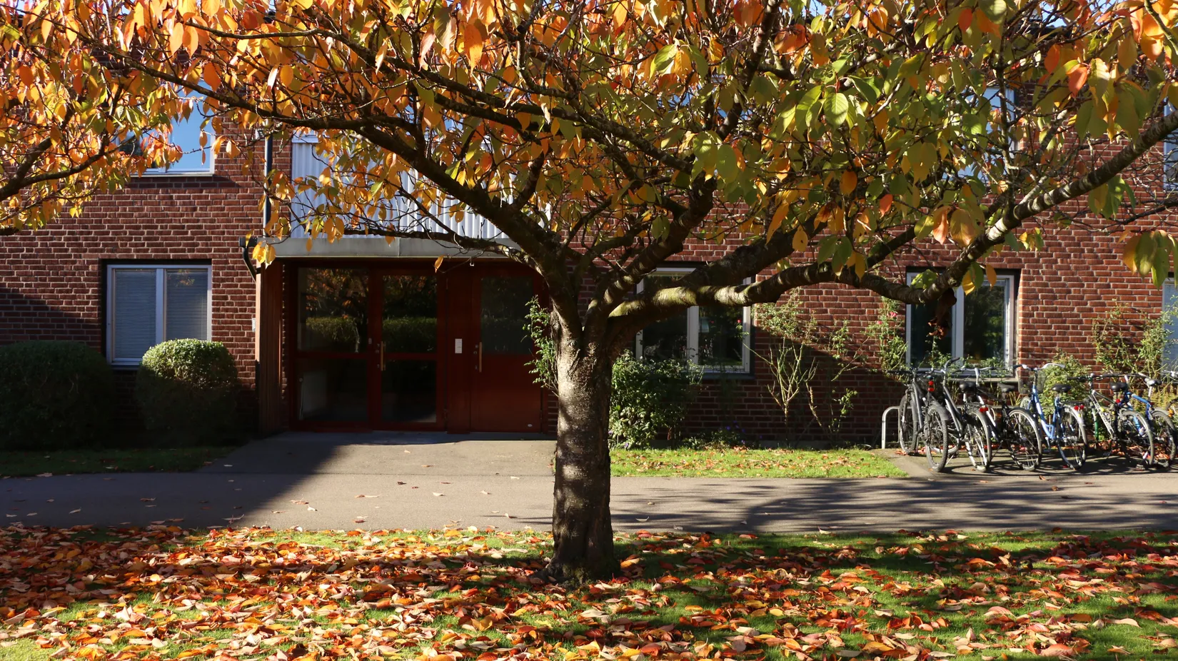 Bostadsrätt, Fagottgränden 17A, Östra Torn, Lund