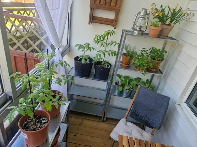 Bostadsrätt, Fagottgränden 17A, Östra Torn, Lund