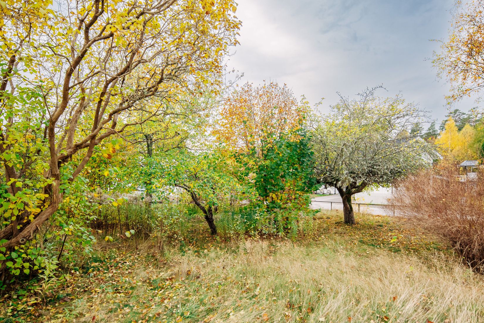 Villa, Hasslegatan 2, Mariestad