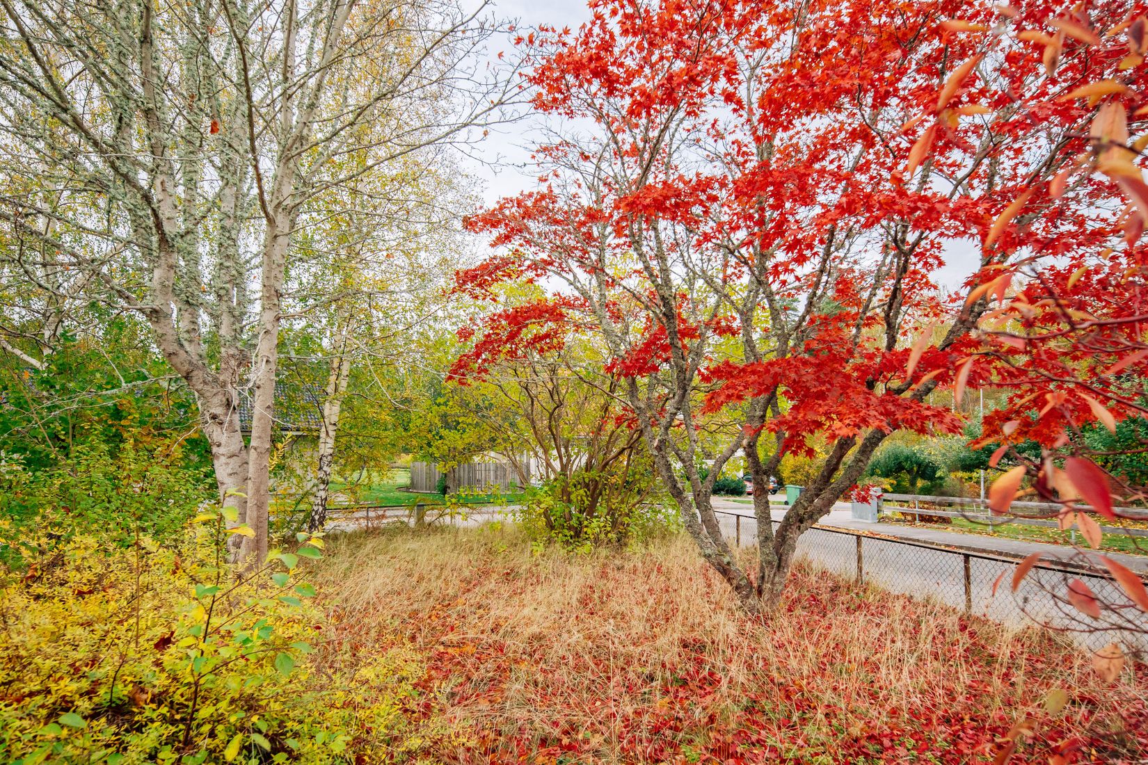 Villa, Hasslegatan 2, Mariestad
